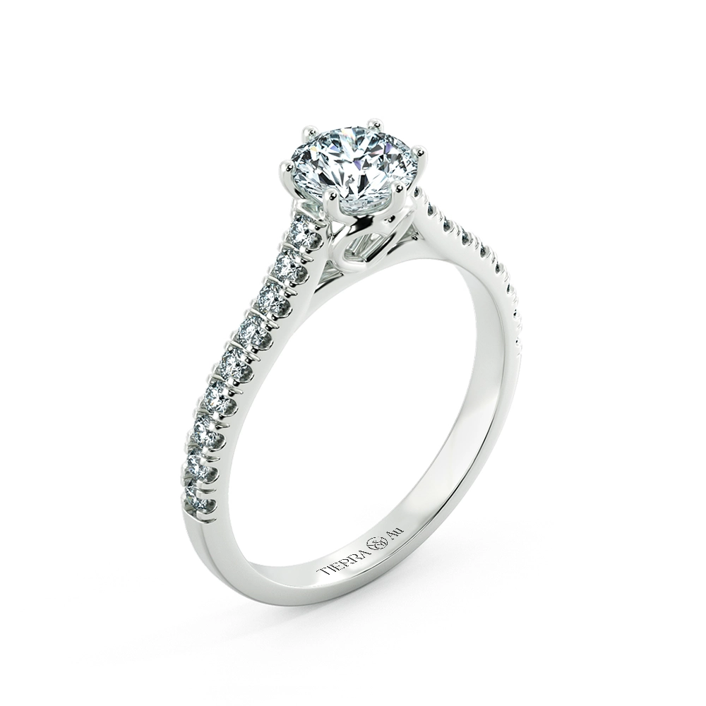 Image Related Product