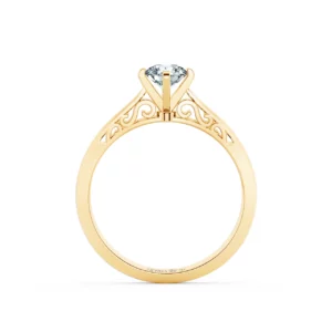 Nhẫn cầu hôn NCH1508