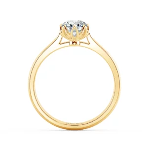 Nhẫn cầu hôn Pretty Flora NCH1513