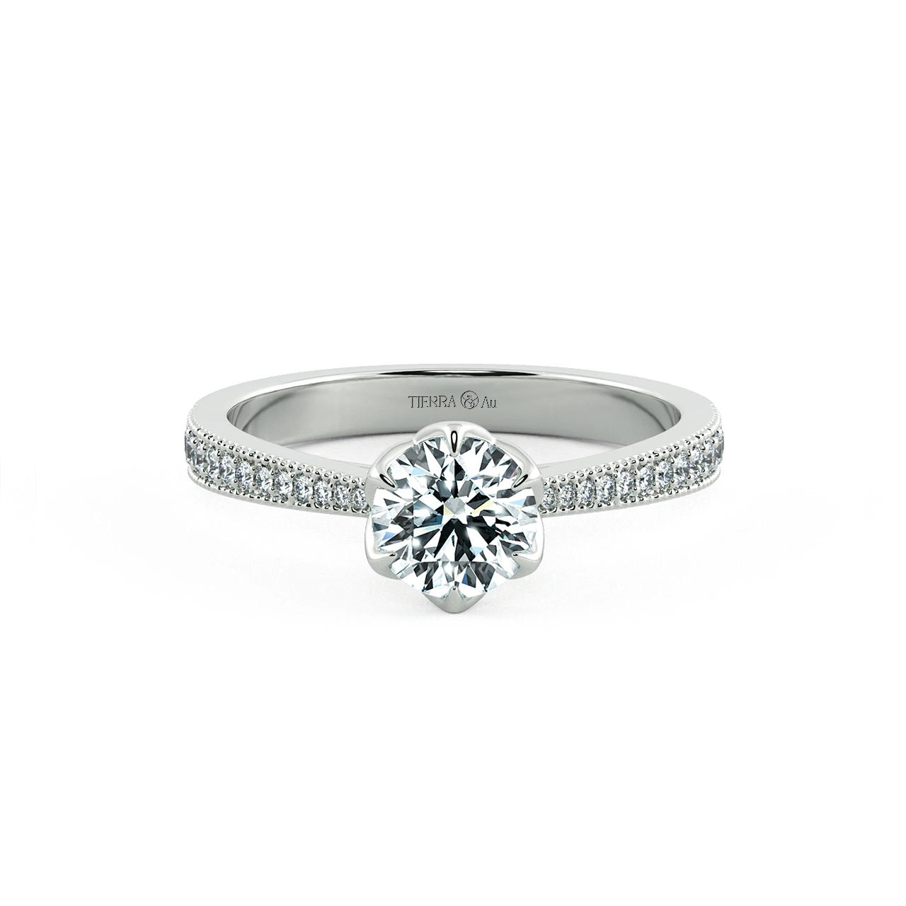 Image Related Product