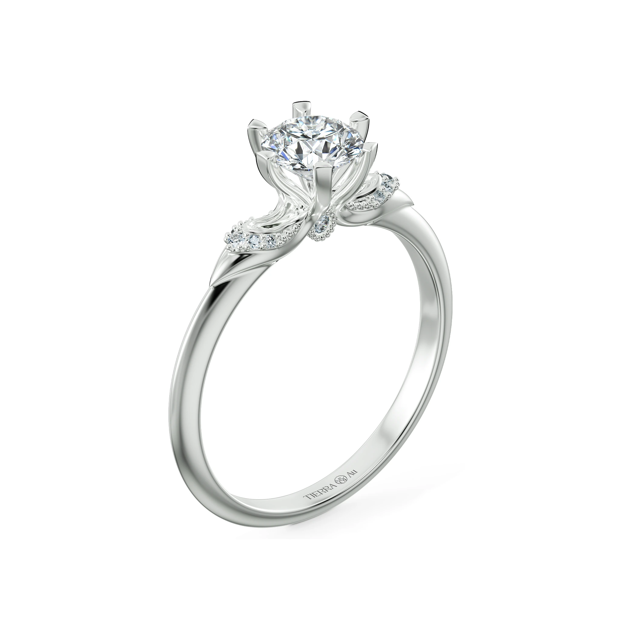 Image Related Product