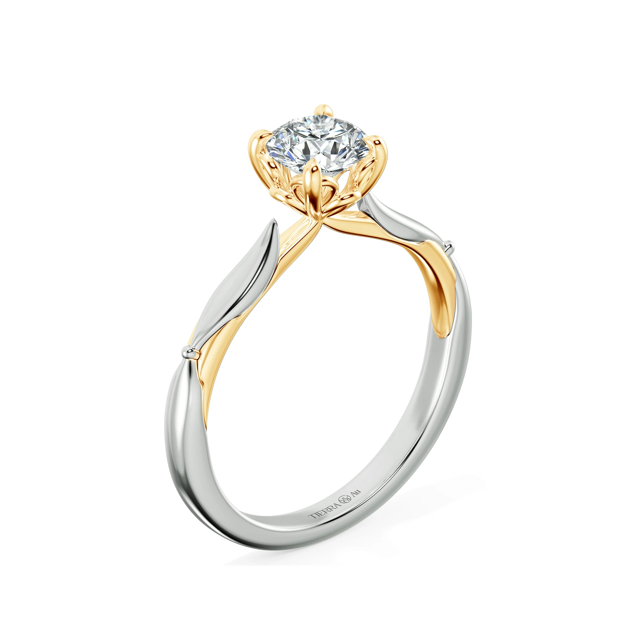 Image Related Product