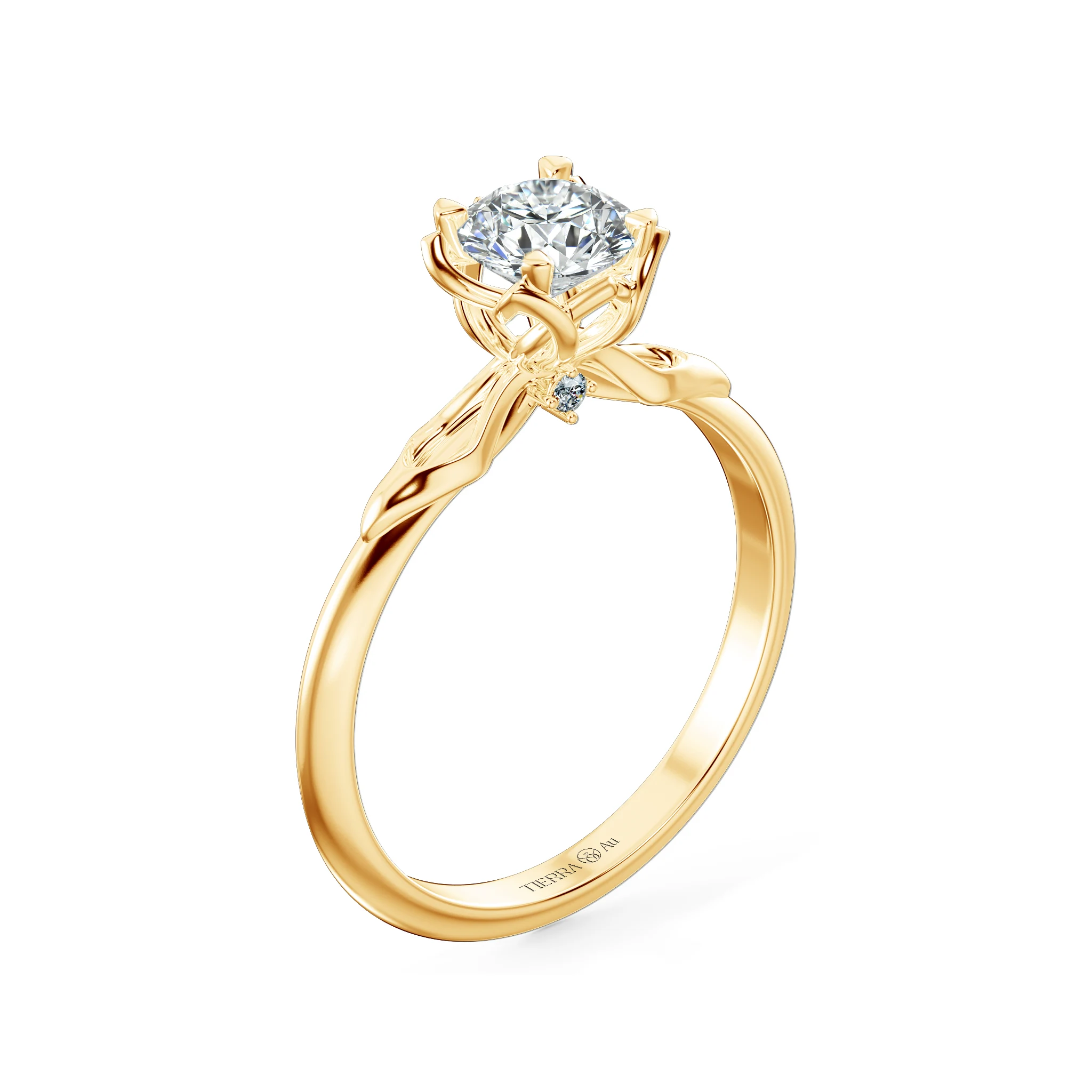 Image Related Product