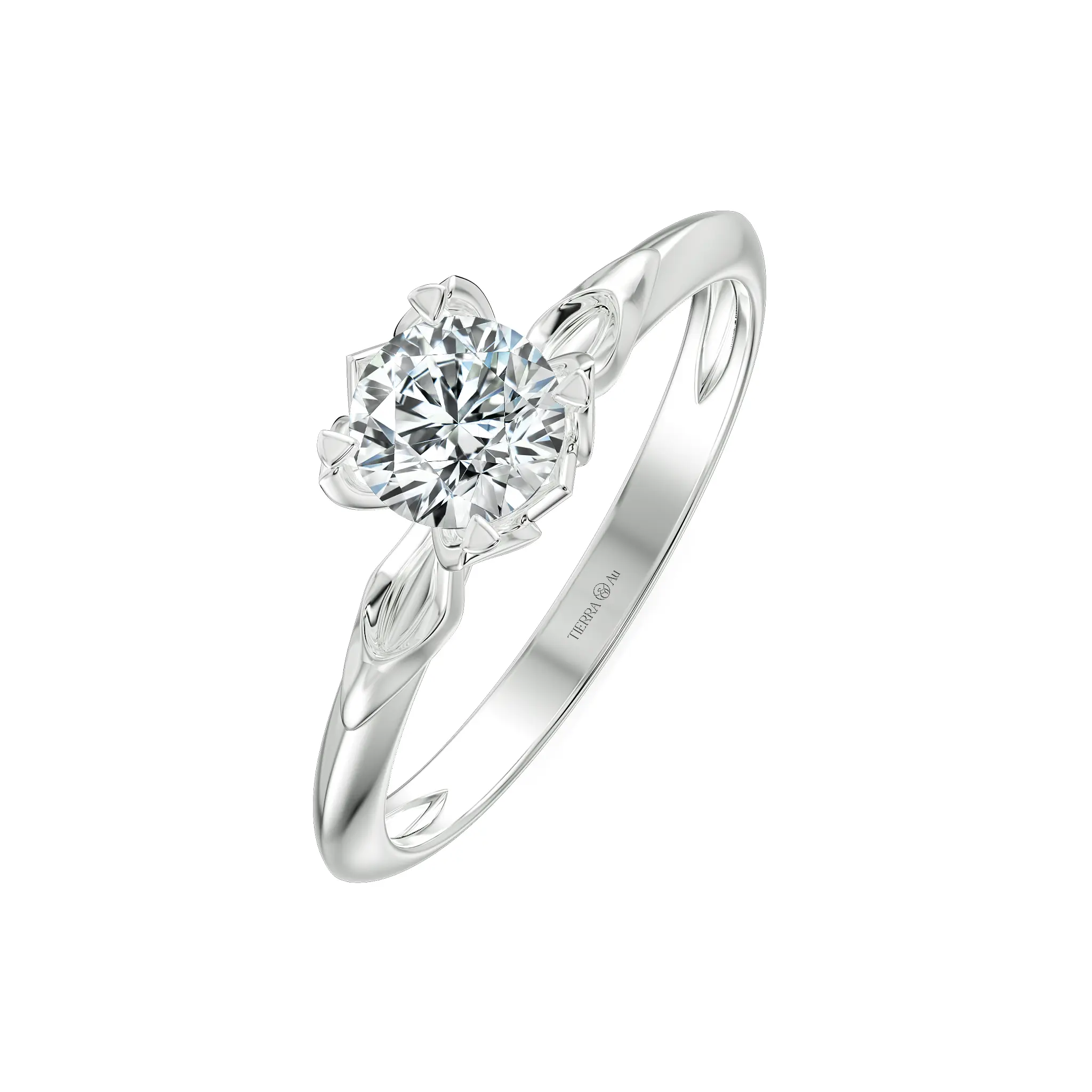 Image Related Product