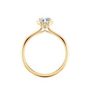 Nhẫn cầu hôn Pansy NCH1906