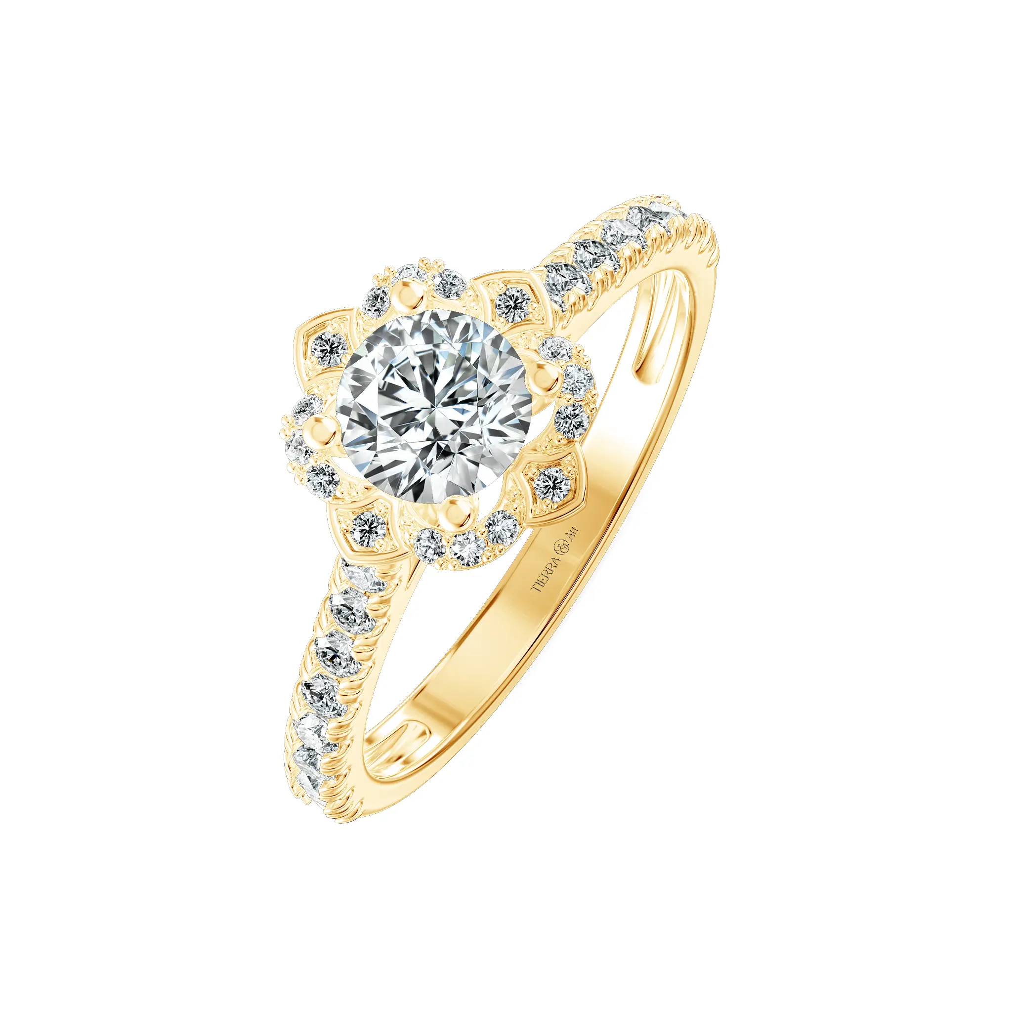 Image Related Product