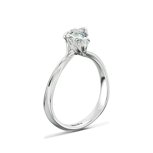 Image Related Product