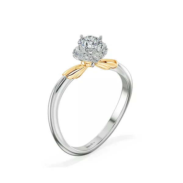 Image Related Product