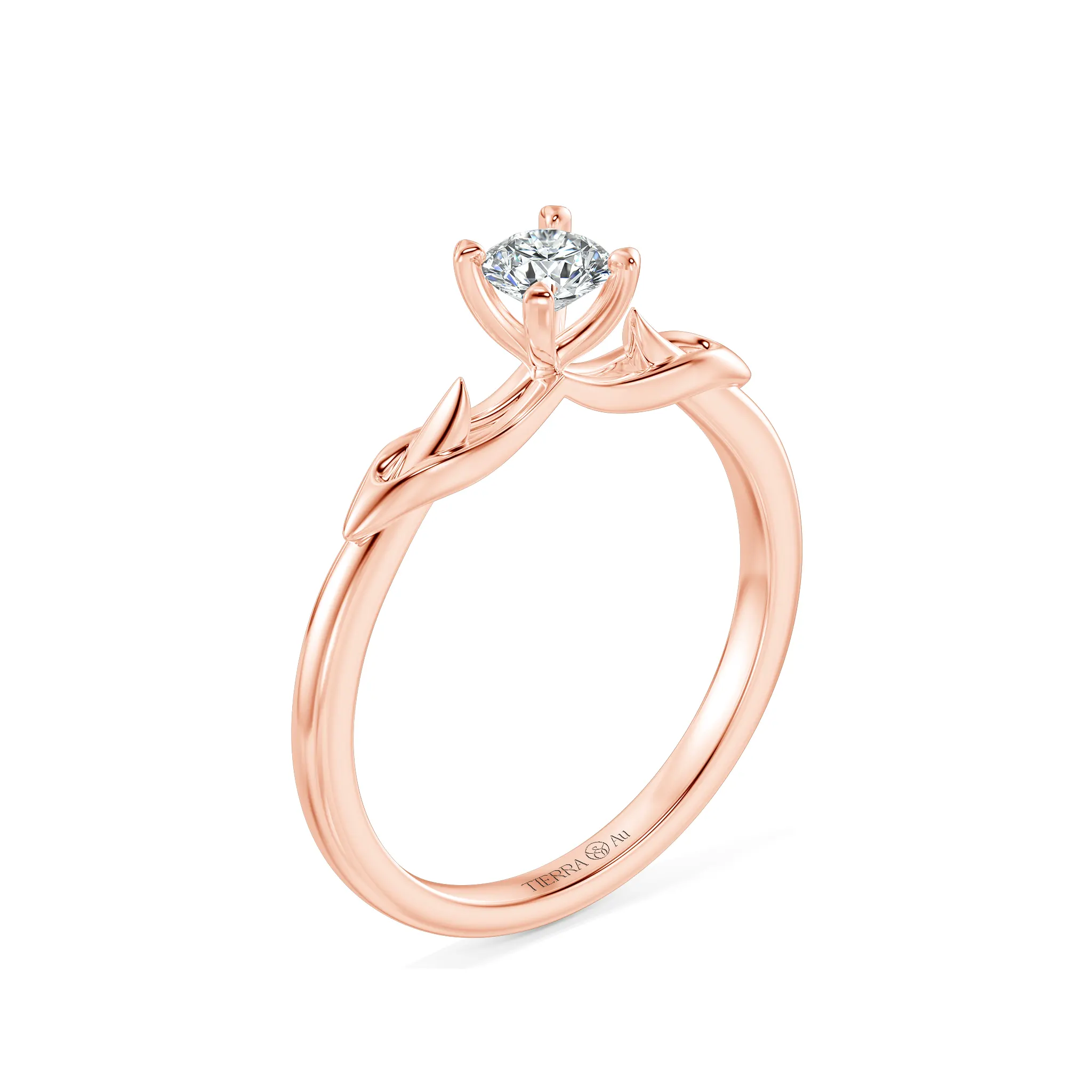 Image Related Product