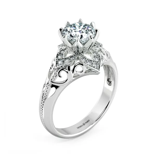 Image Related Product