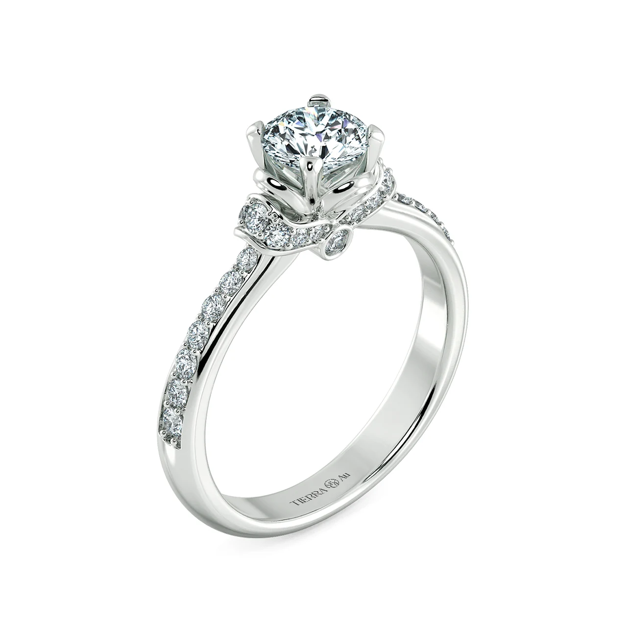 Image Related Product