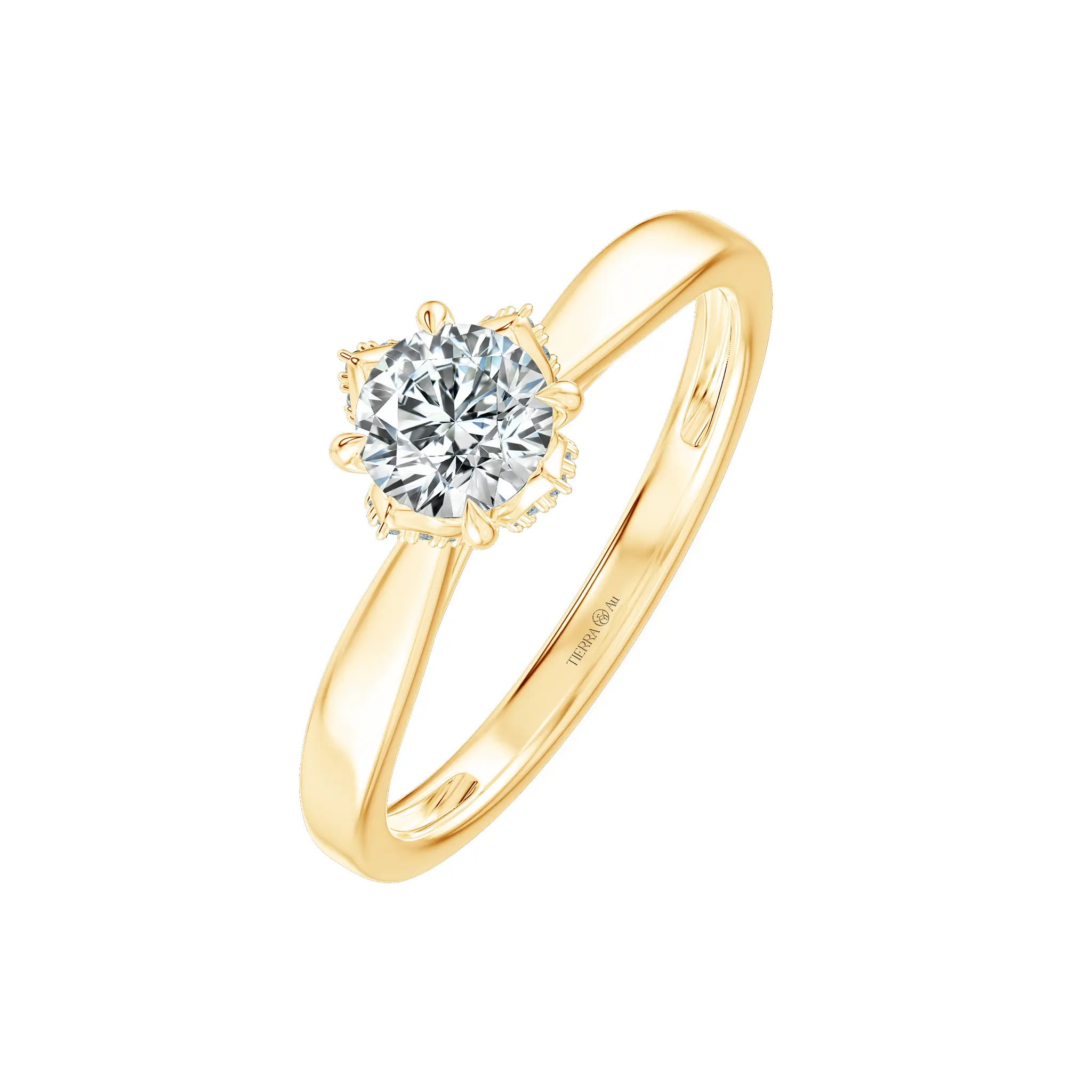 Image Related Product