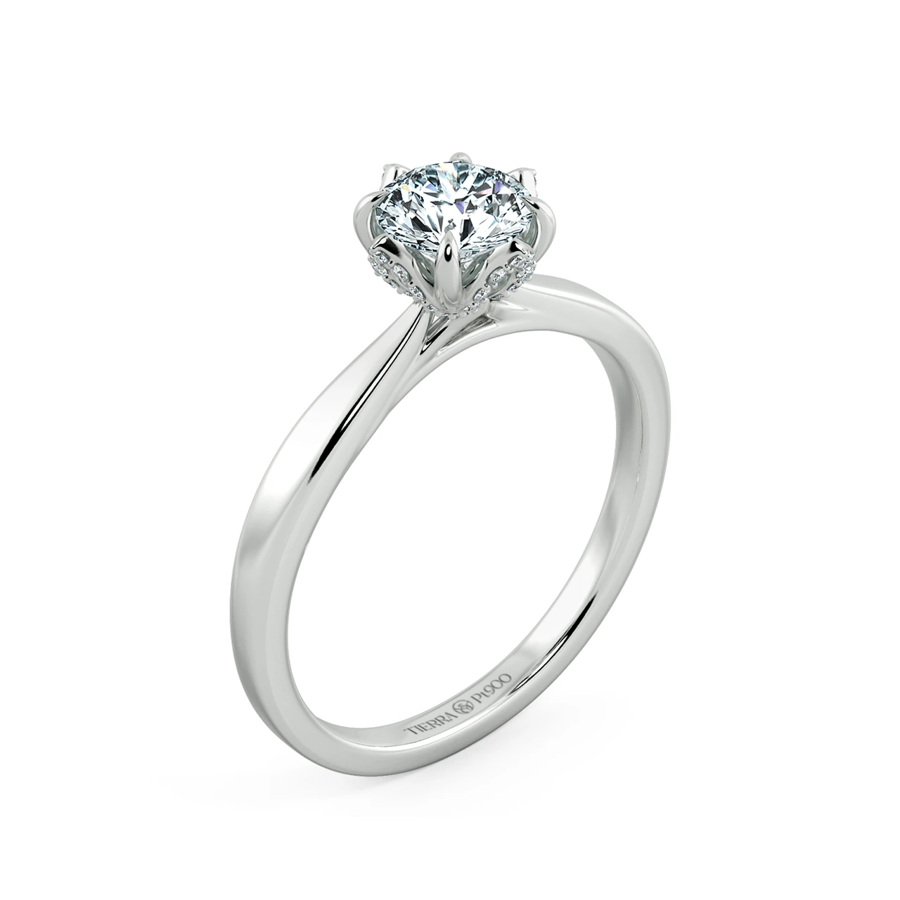 Image Related Product