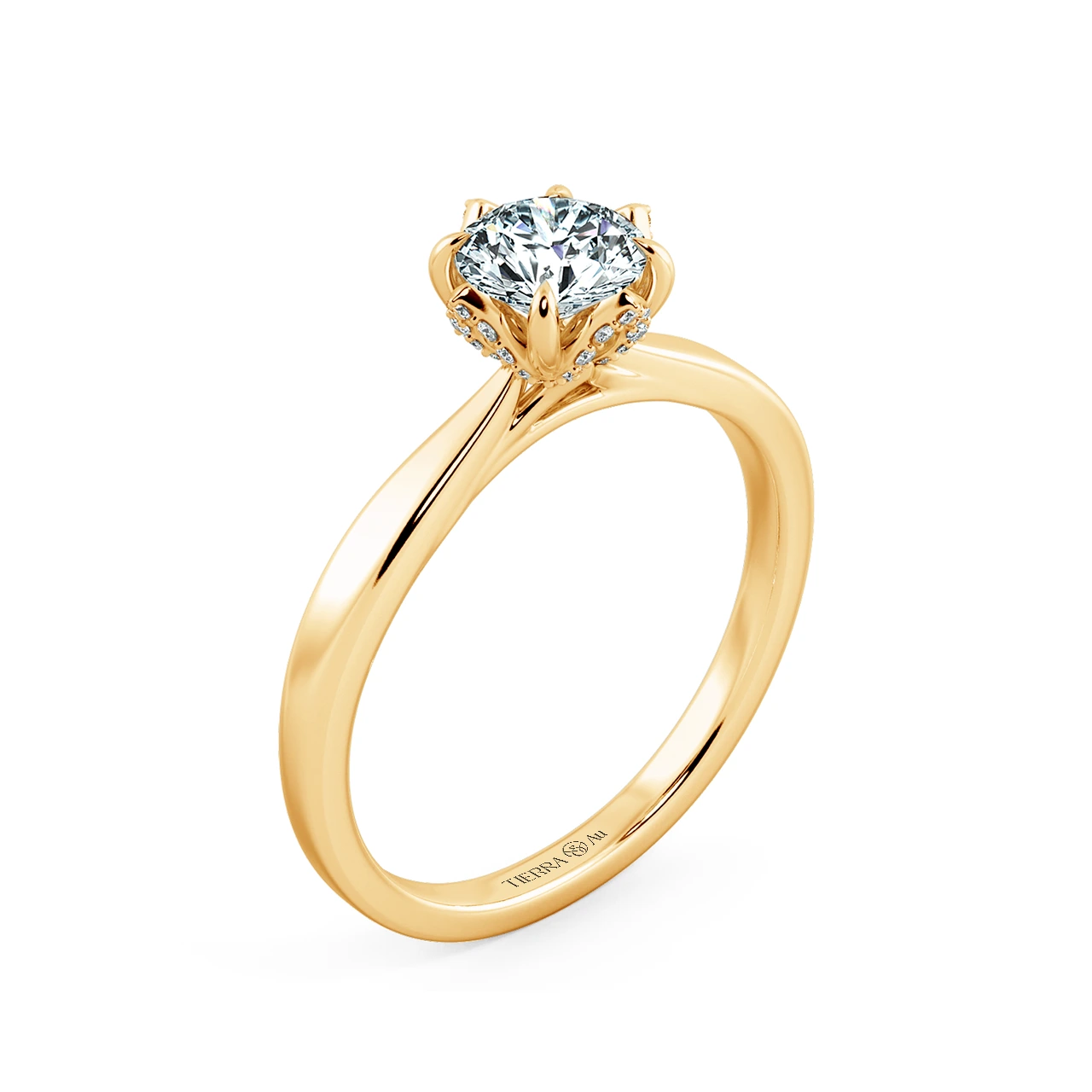 Image Related Product