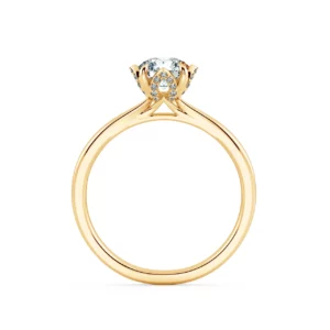 Nhẫn cầu hôn Little Lotus NCH9922