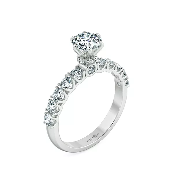 Image Related Product