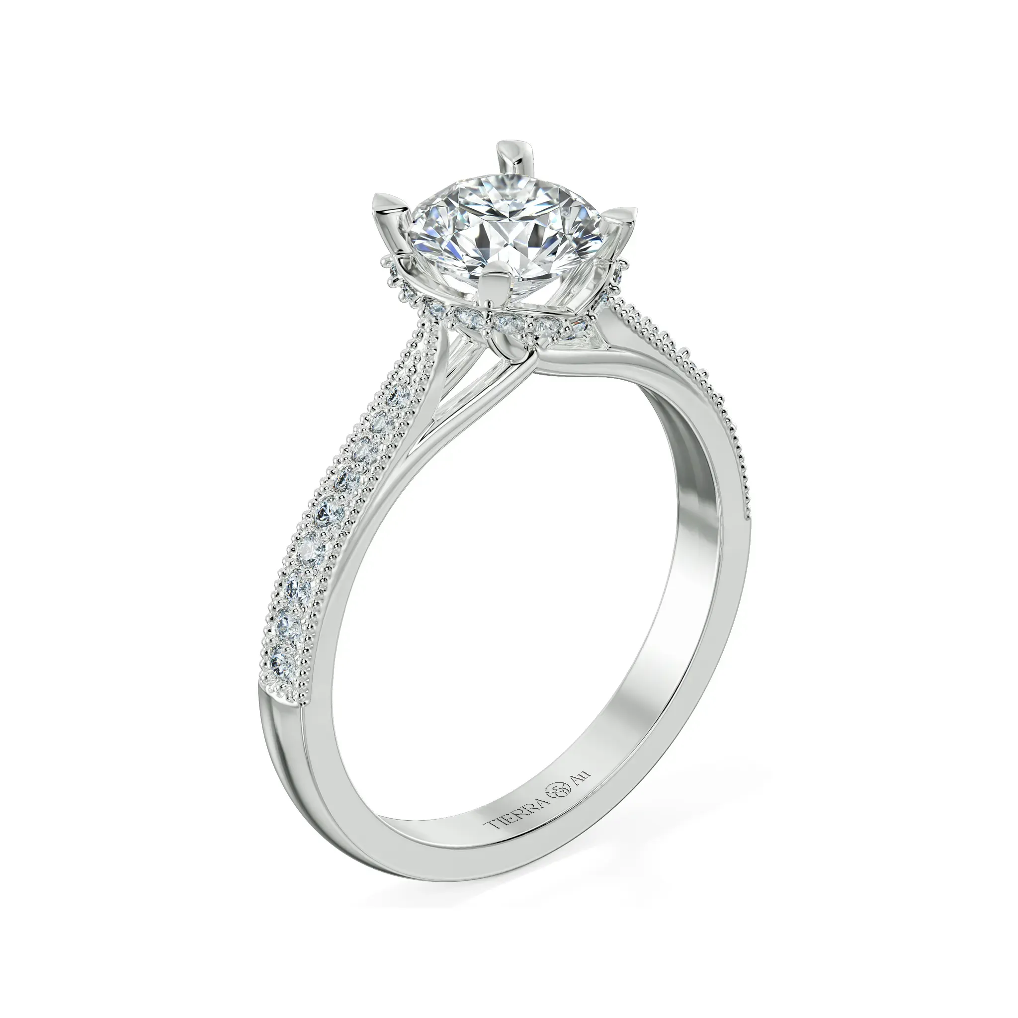 Image Related Product