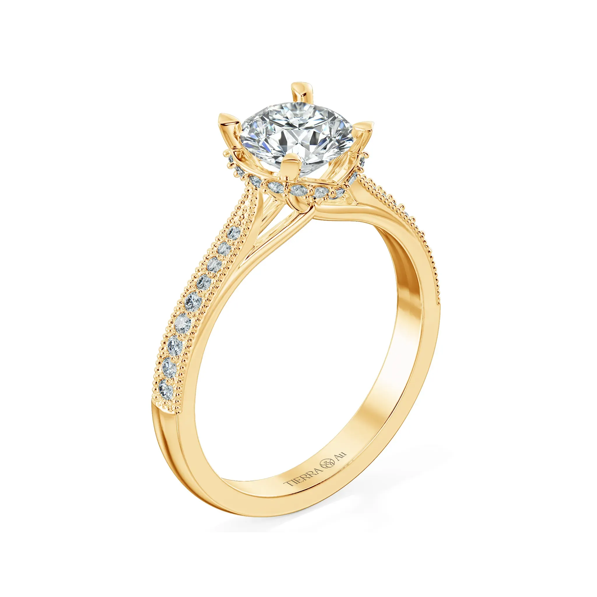 Image Related Product