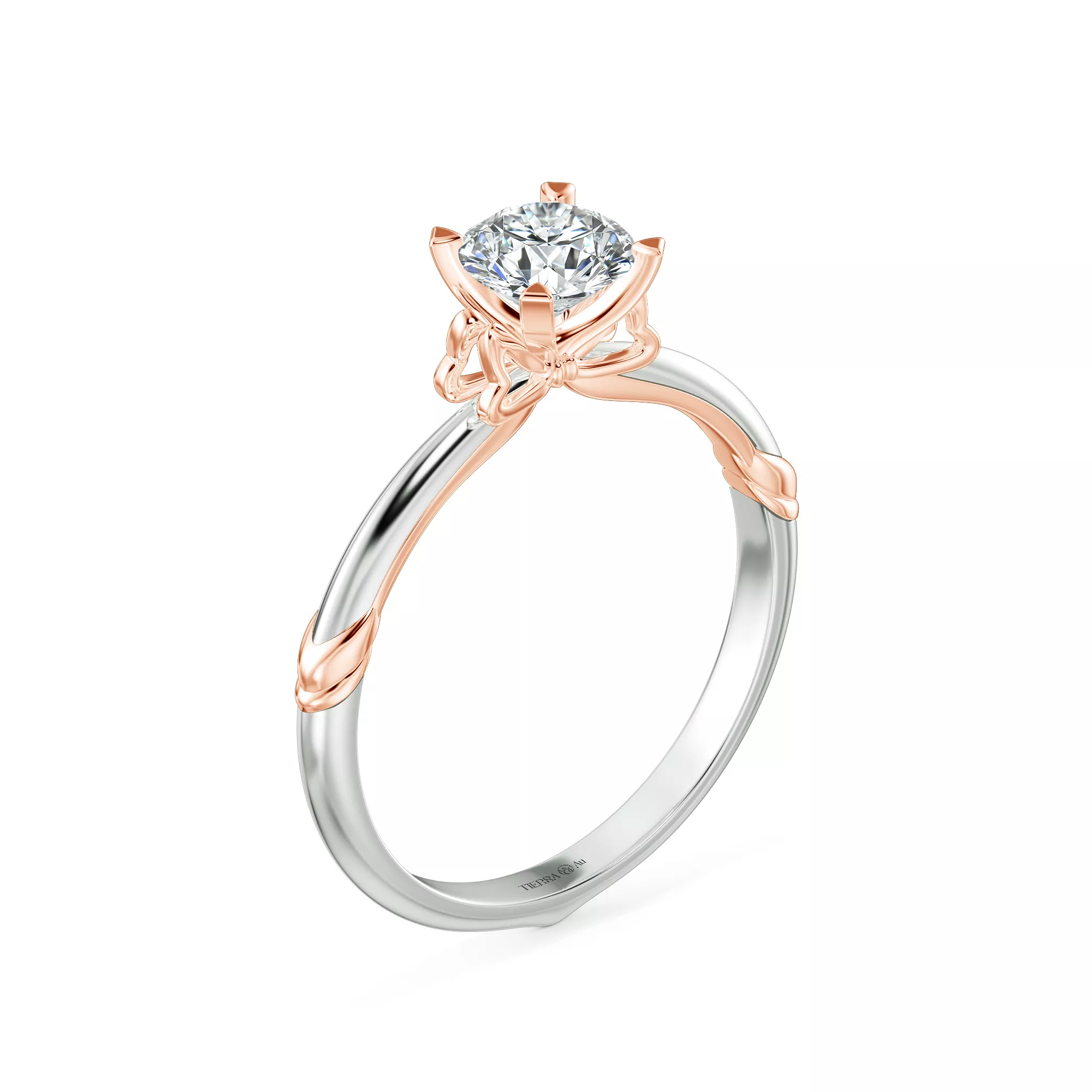 Image Related Product