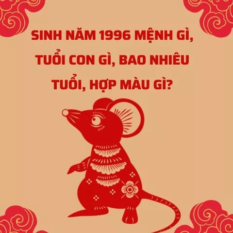 Sinh năm 1996 mệnh gì? Tuổi con gì bao nhiêu tuổi? Tính cách và hướng nhà phong thuỷ