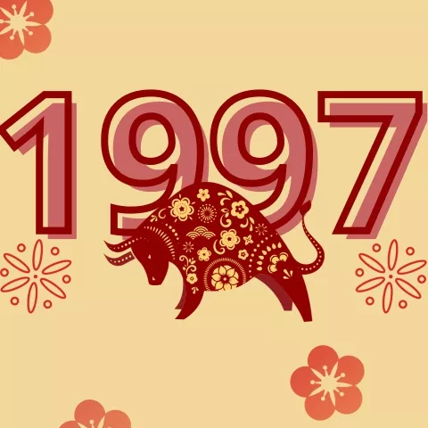 Cung mệnh Đinh Sửu 1997 là gì?