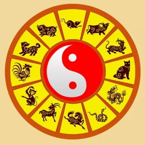 Tính cách của nữ Đinh Sửu 1997