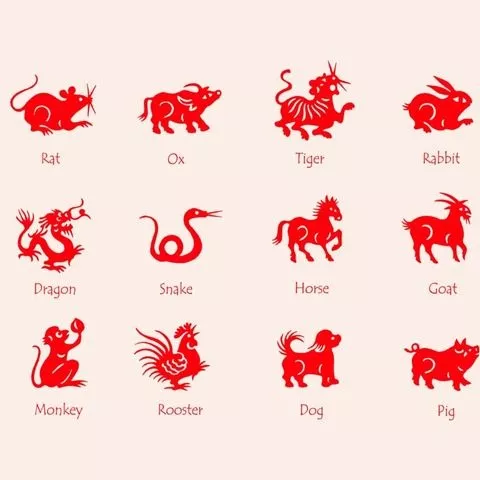 Sinh năm 1998 hợp/ kỵ màu gì?