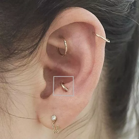 Xỏ khuyên vị trí Anti-tragus Piercing