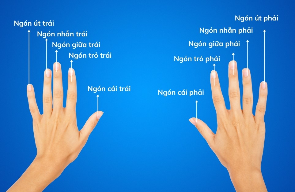 Ý Nghĩa Vị Trí Đeo Nhẫn Nữ: Khám Phá Những Bí Mật Phong Thủy và Thời Trang