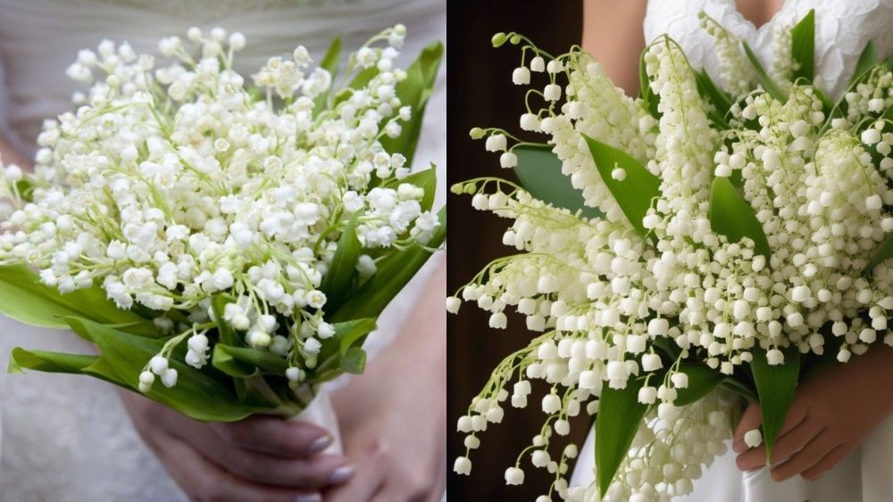 Ý nghĩa của hoa linh lan trong tình yêu