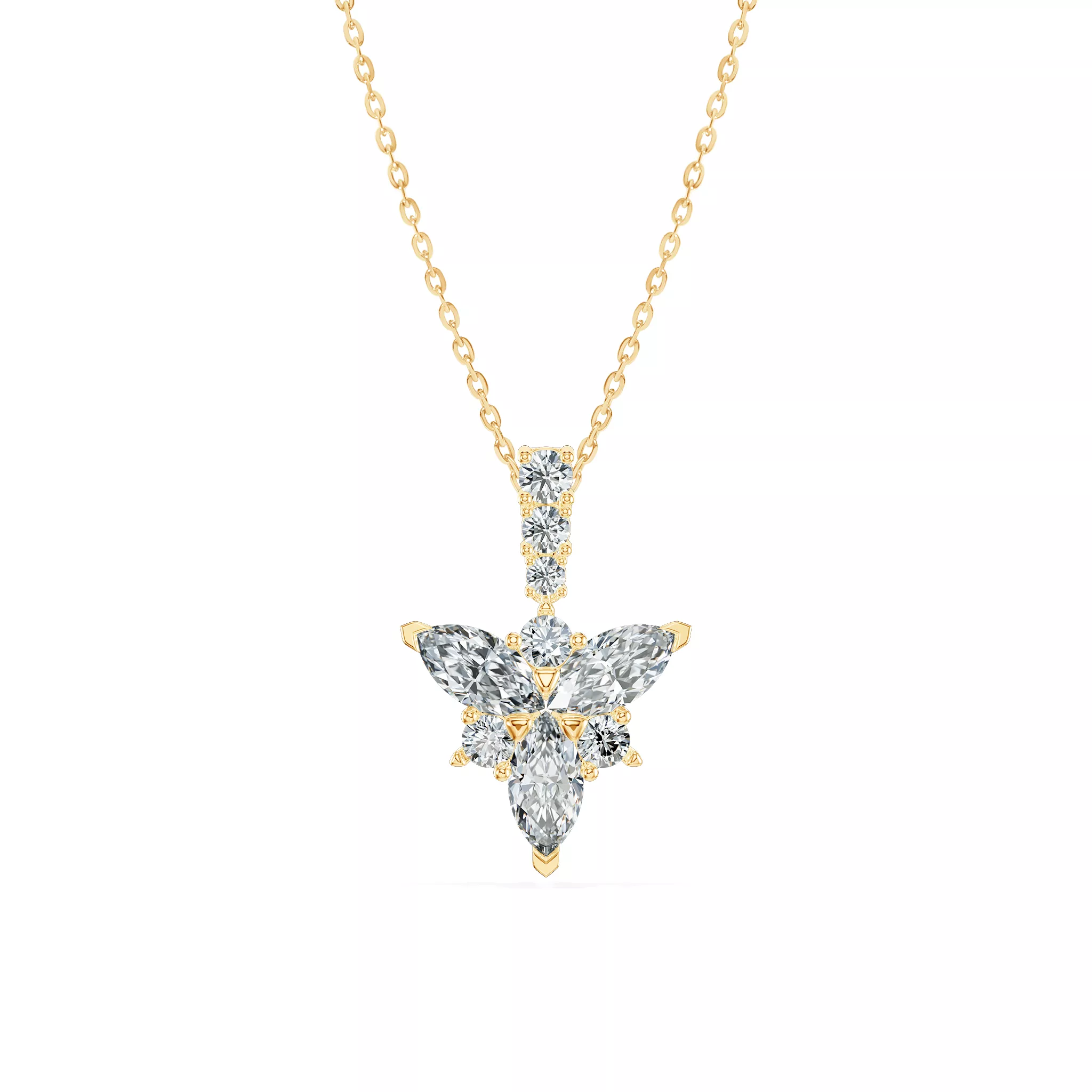 Image Related Product