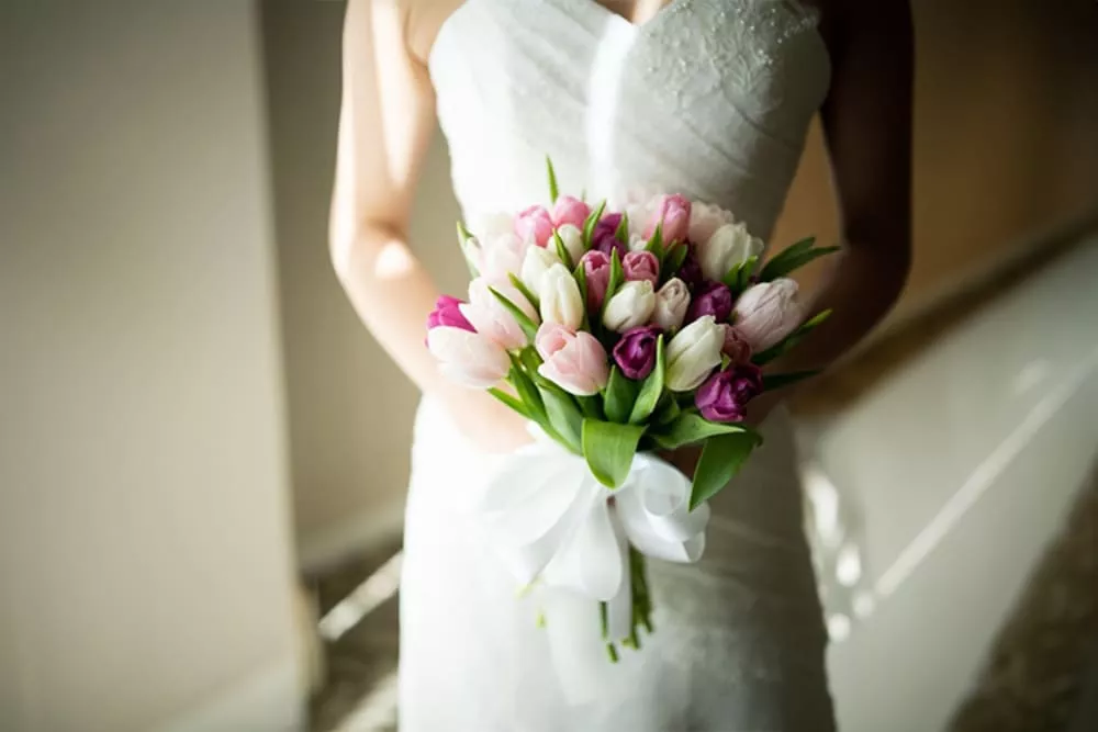 Tulip biểu tượng cho tình yêu trọn vẹn nhưng vẫn tươi mới, vui vẻ