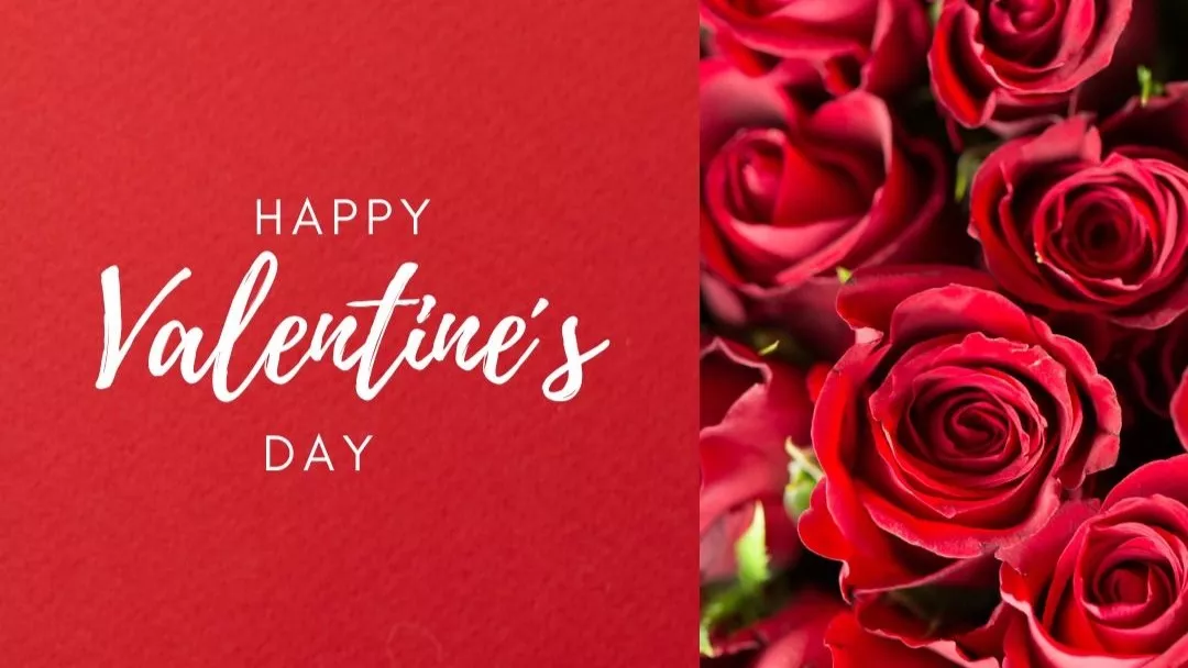 50+ lời chúc ngày valentine​ 14/2 hay, ngọt ngào nhất