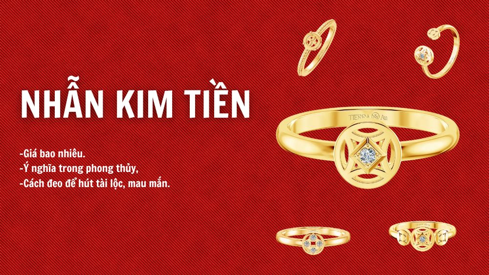 Nhẫn kim tiền: Ý nghĩa phong thủy, giá, cách đeo hút tài lộc