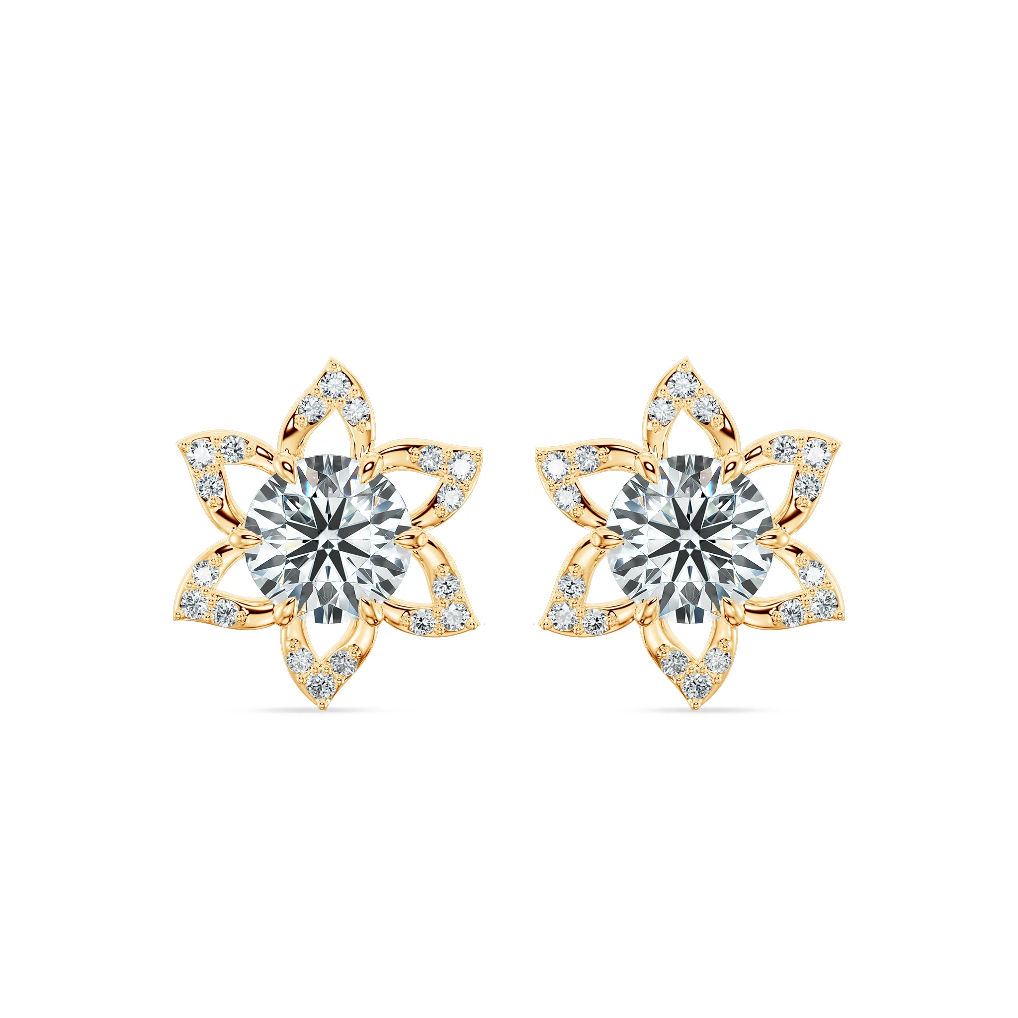 Image Related Product
