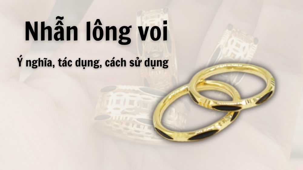 Nhẫn lông voi: Tác dụng trong phong thủy, cách sử dụng
