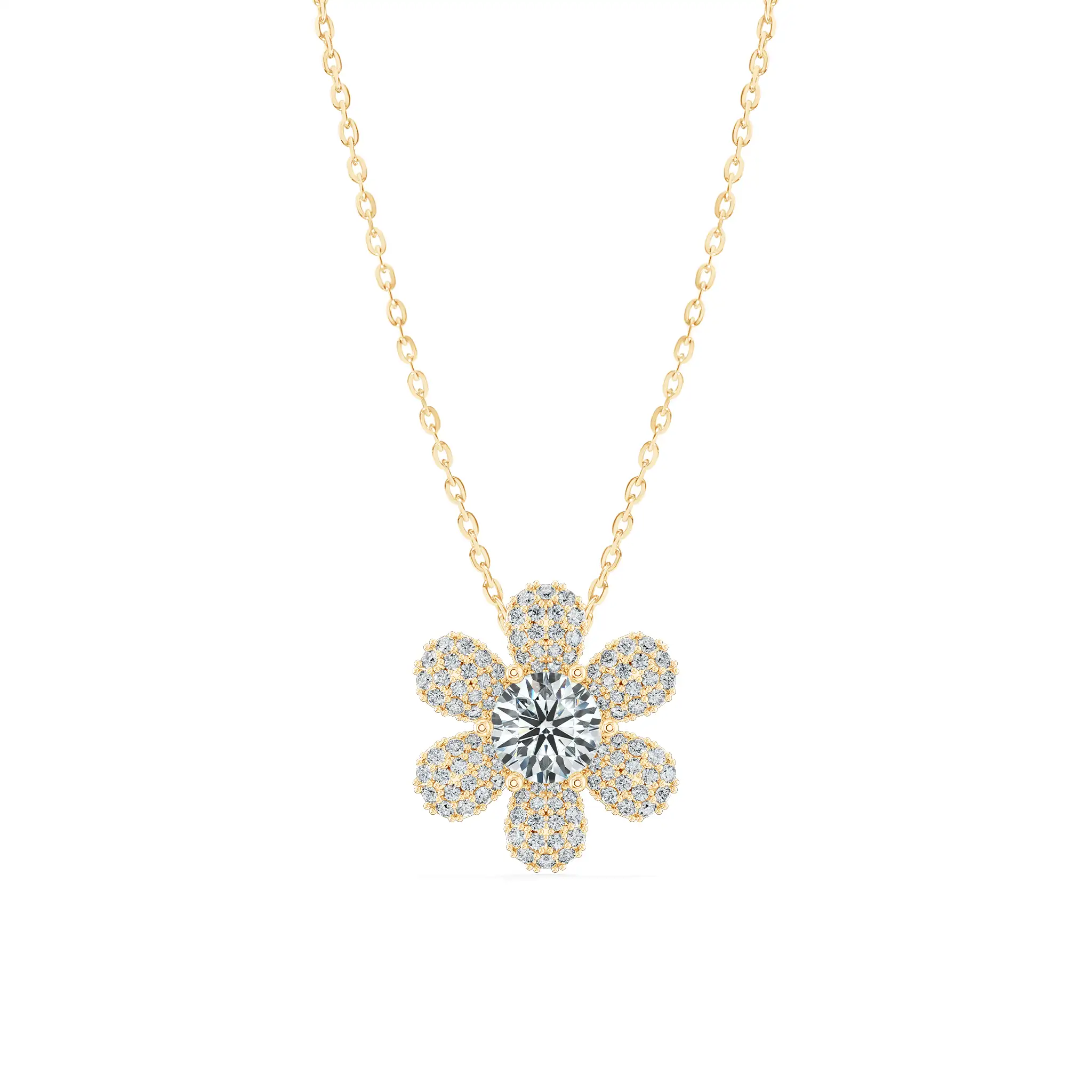 Image Related Product