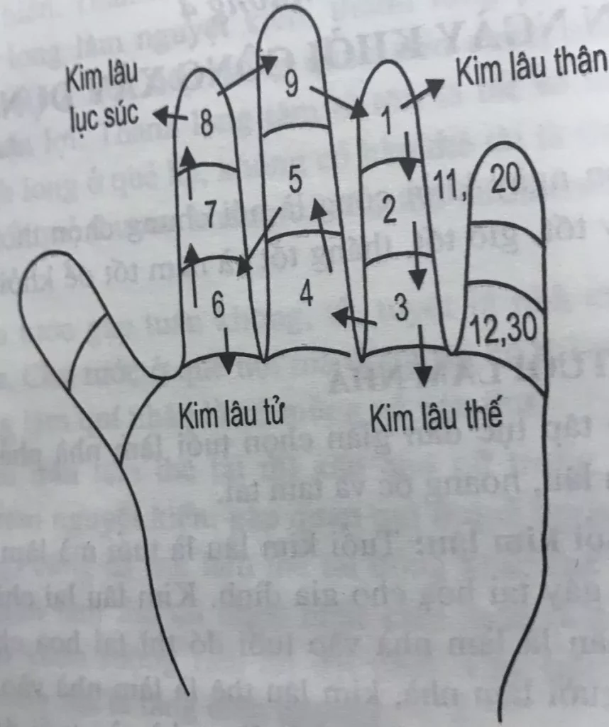 Cách tính dựa vào Hậu thiên bát quái và bản đồ Lạc thư cửu cung