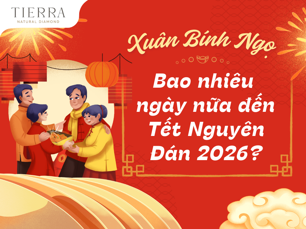 Còn bao nhiêu ngày nữa đến tết Nguyên Đán 2026 - Xuân Bính Ngọ