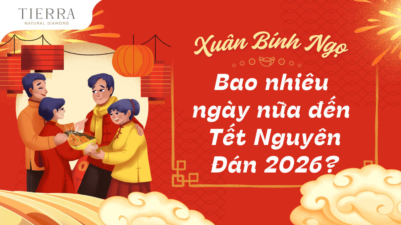 Còn bao nhiêu ngày nữa đến tết Nguyên Đán 2026 - Xuân Bính Ngọ