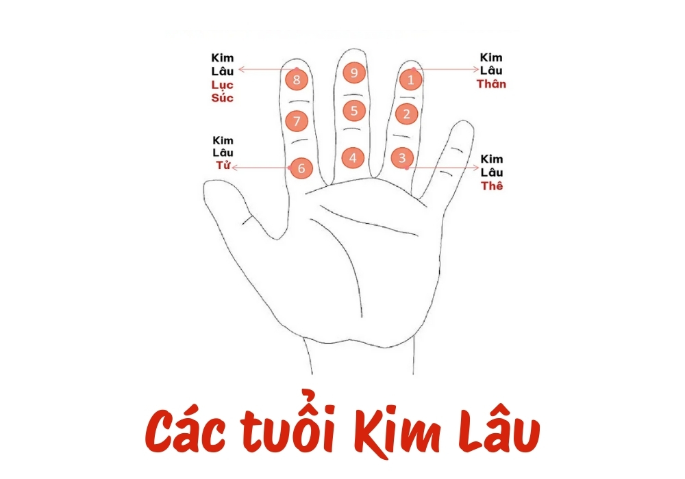 XÁC ĐỊNH NĂM KIM LÂU ĐỂ LỰA CHỌN THỜI ĐIỂM PHÙ HỢP