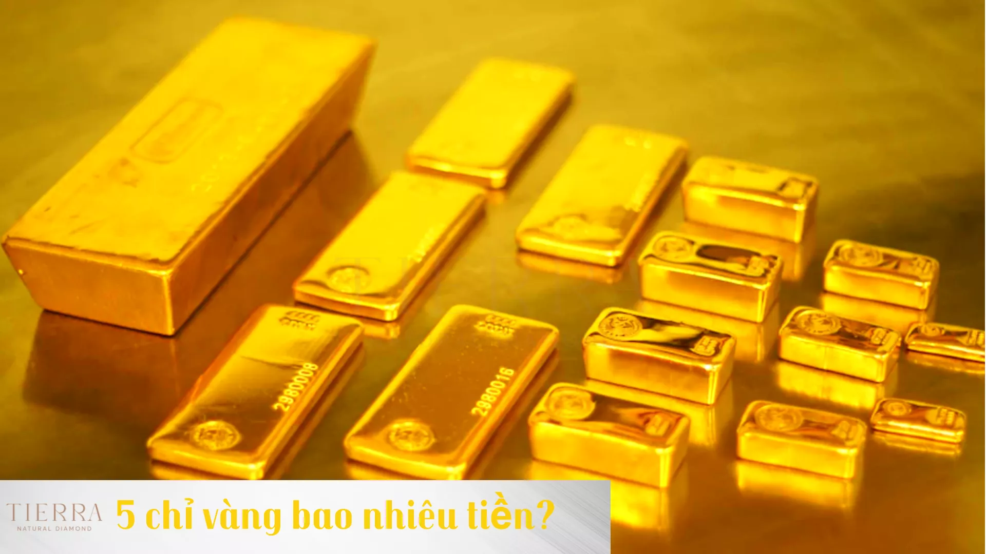 5 chỉ vàng có giá bao nhiêu trên thị trường hiện nay