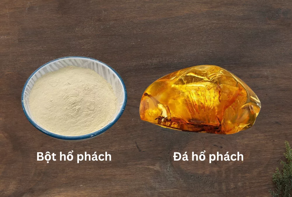 Nhiều bài thuốc Đông y dùng đến bột đá hổ phách