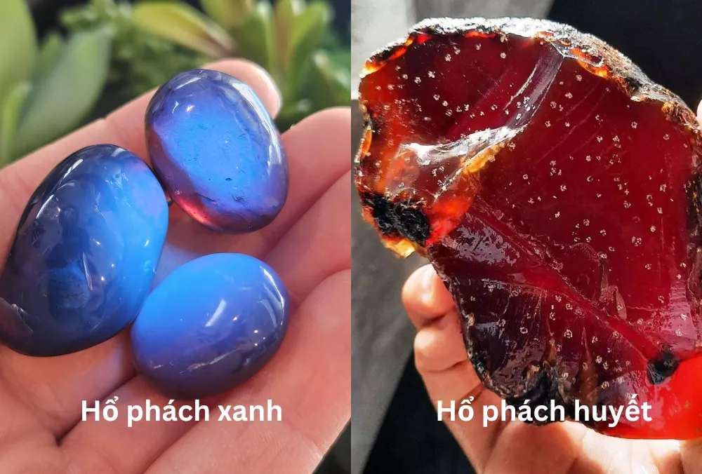 Hai loại đá hổ phách đắt tiền là hổ phách xanh và hổ phách huyết