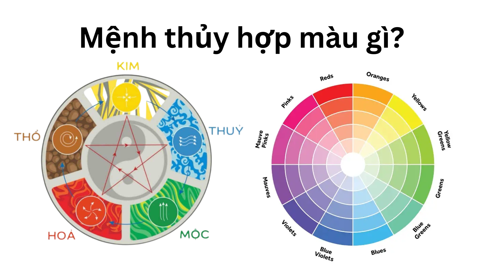 Mệnh thủy hợp màu gì là câu hỏi của nhiều người. Tuân theo vòng tuần hoàn