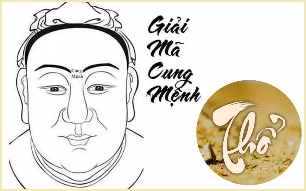 Người mệnh Thổ có tính cách điềm tĩnh, trách nhiệm và khéo léo trong cách cư xử