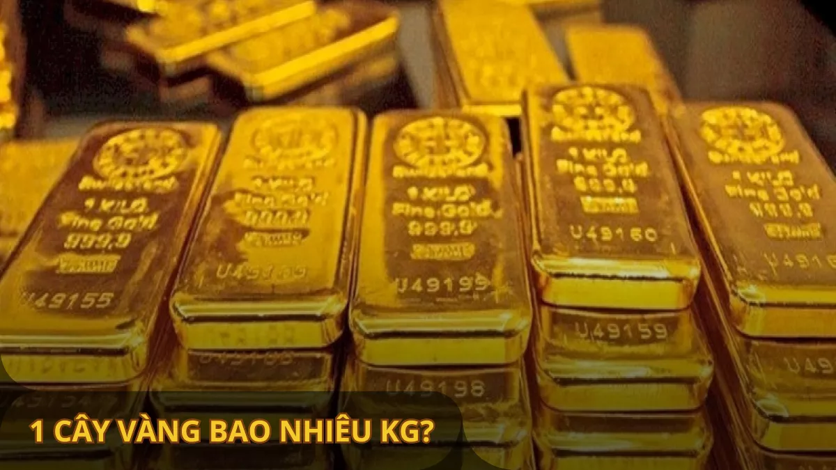 1 cây vàng bao nhiêu kg? 1kg vàng bằng bao nhiêu ounce? Giá 1kg vàng là bao nhiêu?