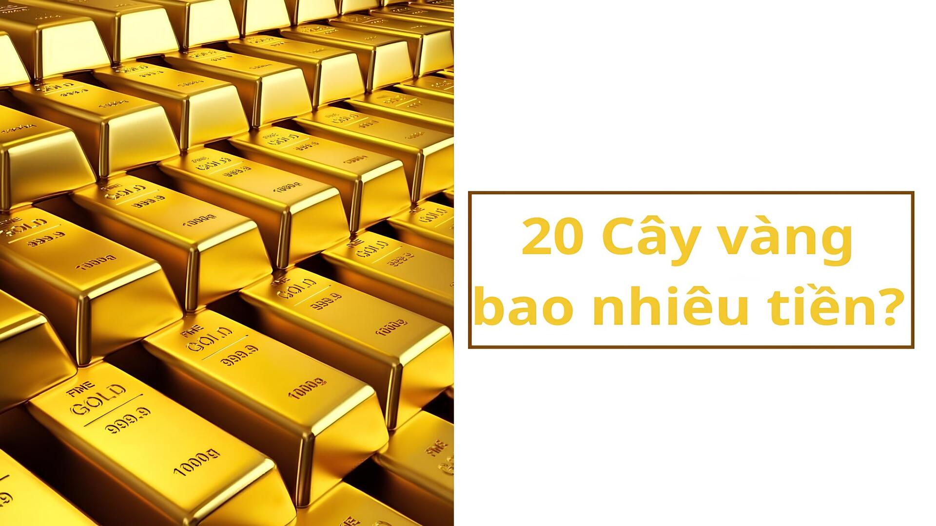 20 cây vàng bao nhiêu tiền? Cập nhật giá vàng mới nhất và cách quy đổi