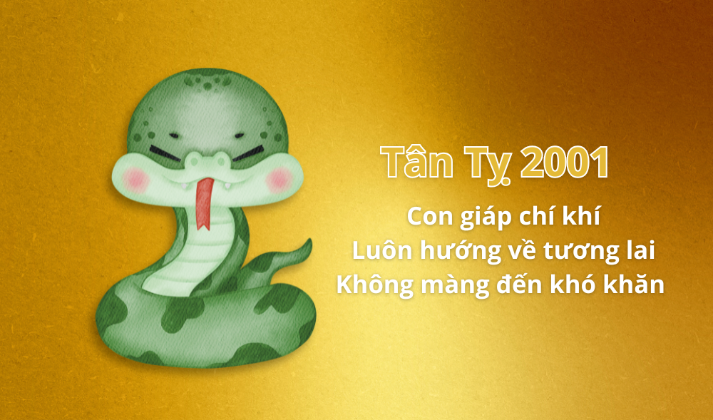 Nam sinh năm 2001 mệnh gì