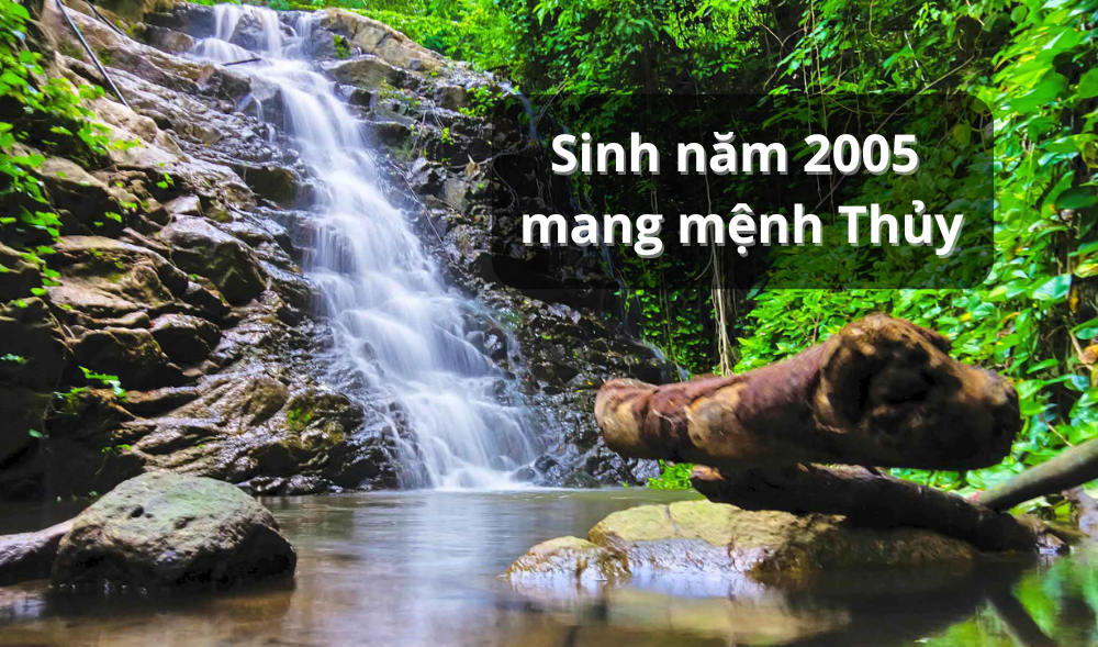 Sinh năm 2005 mệnh gì